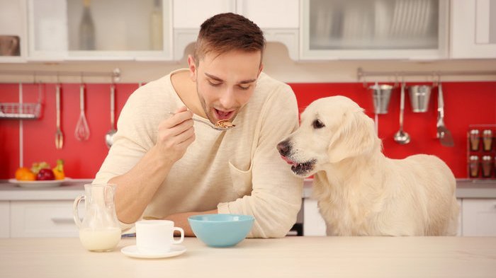 Pekerjaan Menarik Untuk Mendapatkan Uang
